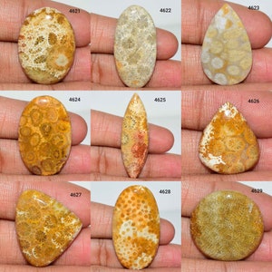 70% OFF Natural Fossil Coral Gemstone, Fossil Coral Cabochon, Fossil Coral Jewelry, Fossil Coral, Multi Jewelry Making Fossil Coral Stone,