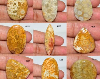 26x15x5 mm 17 Ctr. Making Pendant Loose Gemstone Semi Presiouse Fossil Coral Wonder Full Natural Fossil Coral Cabochon Gemstone