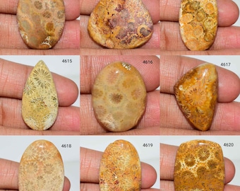 Gorgeous Natural Fossil Coral Gemstone, Fossil Coral Cabochon, Fossil Coral Jewelry, Fossil Coral, Multi Jewelry Making Fossil Coral Stone,