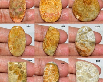 Marvelous Natural Fossil Coral Gemstone, Fossil Coral Cabochon, Fossil Coral Jewelry, Fossil Coral, Multi Jewelry Making Fossil Coral Stone,