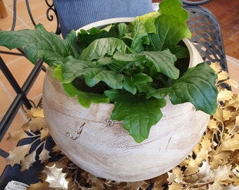 Plant bowl, ceramic, frost-proof, decoration, gift, unique, D= 28 cm x (H) 21 cm
