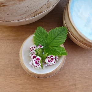 May include: A small, off-white ceramic bowl with a light brown rim, holding a sprig of small white and purple flowers and a green leaf. Two other ceramic bowls are in the background, one light brown and one light blue.