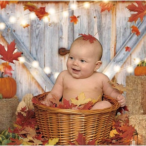 Fall Thanksgiving Photography Backdrop Autumn Pumpkin Harvest Barn ...