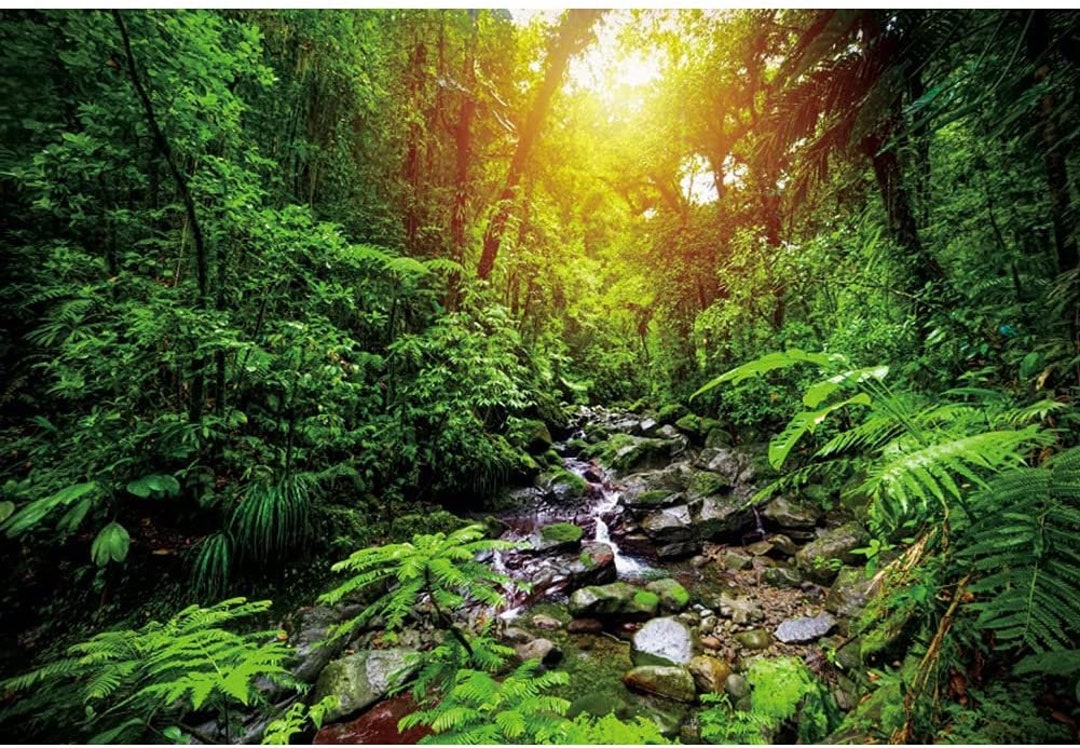 Fresh Green Trees Backdrop Outdoor Travel Party Theme Background ...