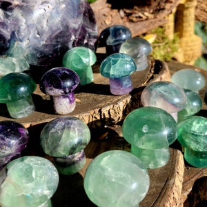 Vibrant Fluorite Crystal Mushrooms, Magical Fluorite Mushrooms, Energy of Clarity and form of Strength combine in one image 10