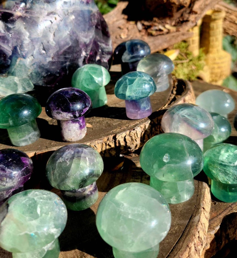 Vibrant Fluorite Crystal Mushrooms, Magical Fluorite Mushrooms, Energy of Clarity and form of Strength combine in one image 10