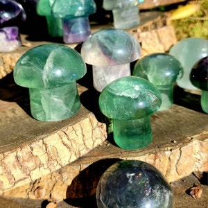 Vibrant Fluorite Crystal Mushrooms, Magical Fluorite Mushrooms, Energy of Clarity and form of Strength combine in one image 5