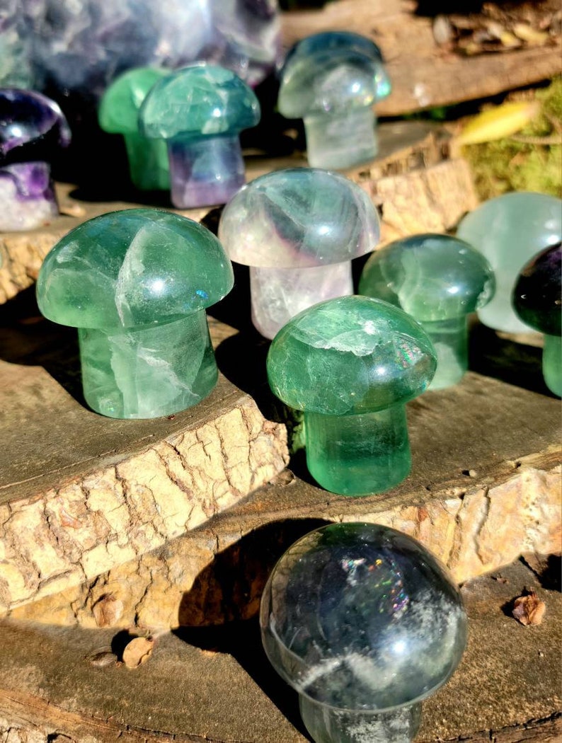 Vibrant Fluorite Crystal Mushrooms, Magical Fluorite Mushrooms, Energy of Clarity and form of Strength combine in one image 5