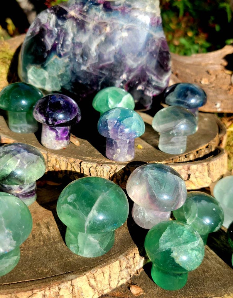 Vibrant Fluorite Crystal Mushrooms, Magical Fluorite Mushrooms, Energy of Clarity and form of Strength combine in one image 8