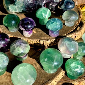 Vibrant Fluorite Crystal Mushrooms, Magical Fluorite Mushrooms, Energy of Clarity and form of Strength combine in one image 7
