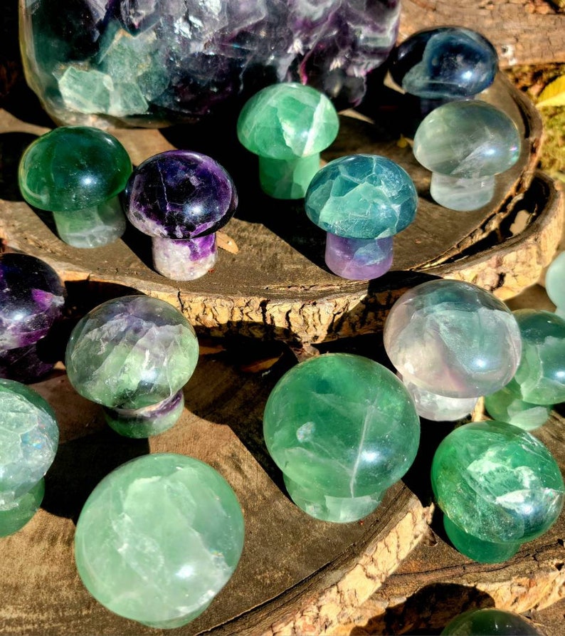 Vibrant Fluorite Crystal Mushrooms, Magical Fluorite Mushrooms, Energy of Clarity and form of Strength combine in one image 7