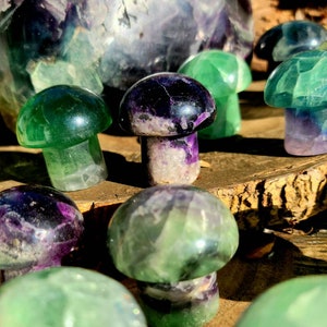Vibrant Fluorite Crystal Mushrooms, Magical Fluorite Mushrooms, Energy of Clarity and form of Strength combine in one image 6