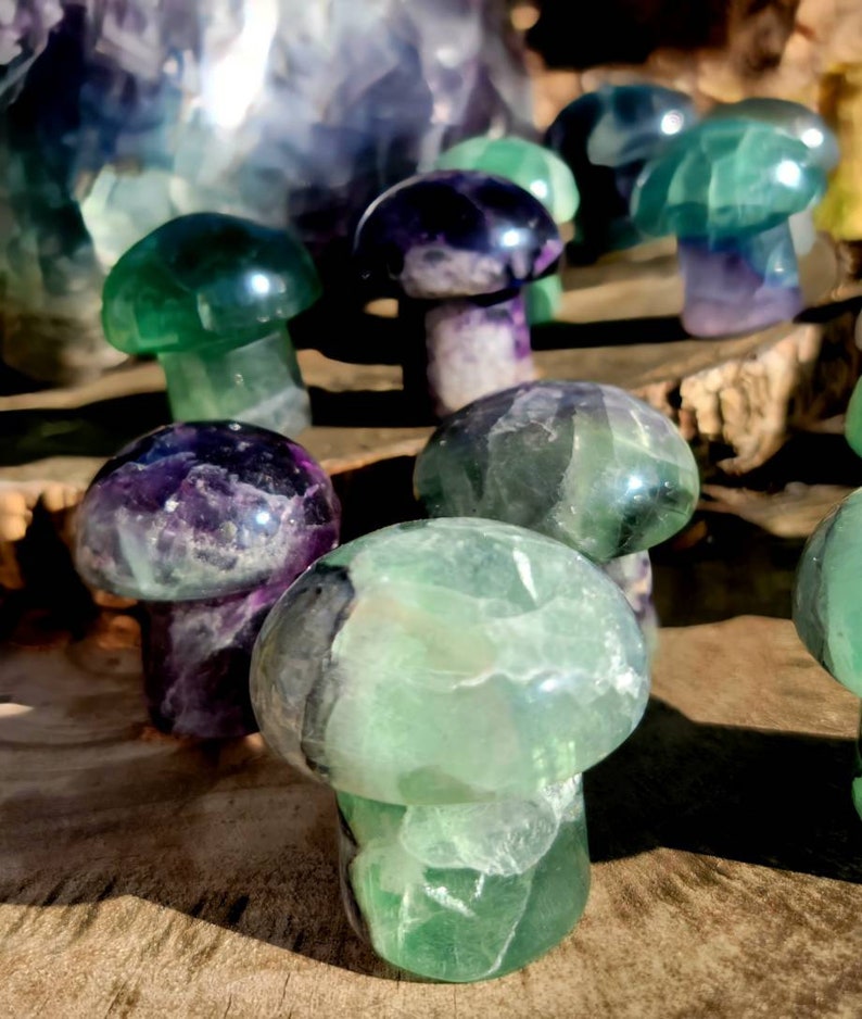 Vibrant Fluorite Crystal Mushrooms, Magical Fluorite Mushrooms, Energy of Clarity and form of Strength combine in one image 2