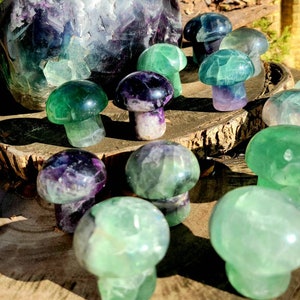 Vibrant Fluorite Crystal Mushrooms, Magical Fluorite Mushrooms, Energy of Clarity and form of Strength combine in one image 9