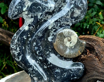 Orthoceras Statue,  Fossils of the Sea, Straight Horn Art