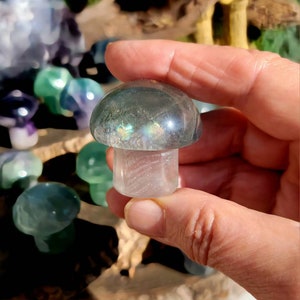 Vibrant Fluorite Crystal Mushrooms, Magical Fluorite Mushrooms, Energy of Clarity and form of Strength combine in one image 4