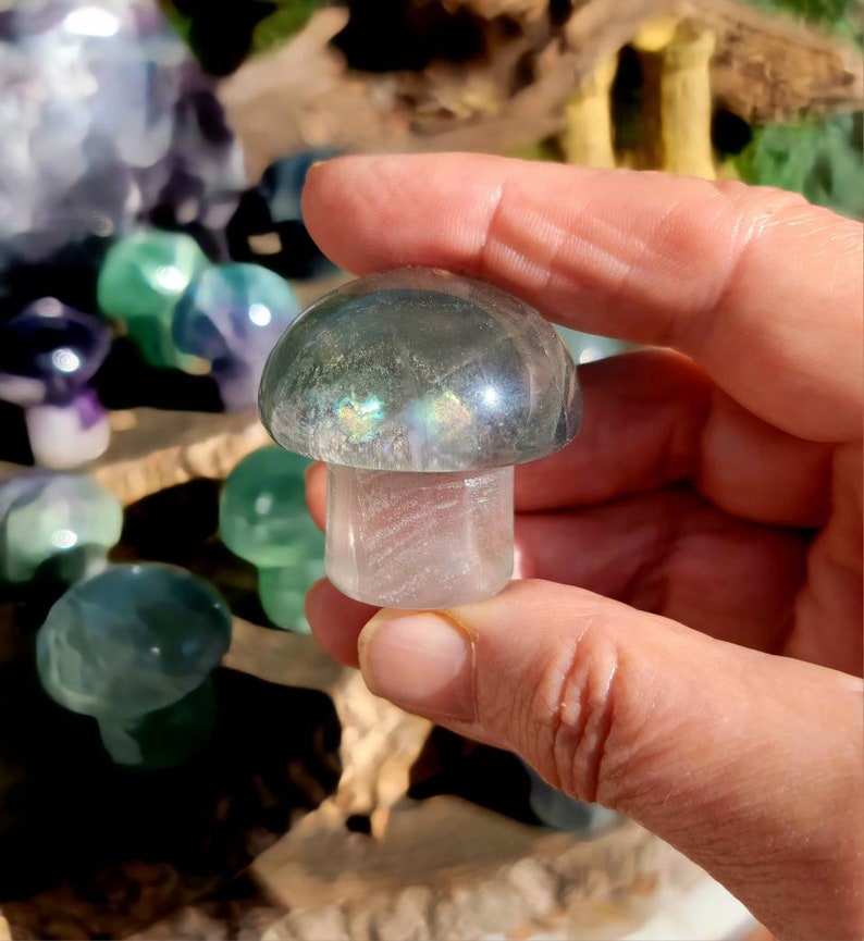 Vibrant Fluorite Crystal Mushrooms, Magical Fluorite Mushrooms, Energy of Clarity and form of Strength combine in one image 4