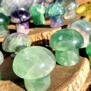 Vibrant Fluorite Crystal Mushrooms, Magical Fluorite Mushrooms, Energy of Clarity and form of Strength combine in one image 3