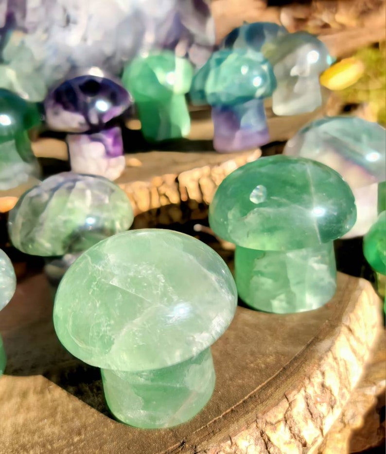 Vibrant Fluorite Crystal Mushrooms, Magical Fluorite Mushrooms, Energy of Clarity and form of Strength combine in one image 3