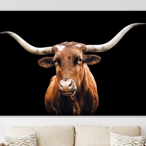 May include: A close-up portrait of a brown and white Texas Longhorn bull with large horns against a black background.