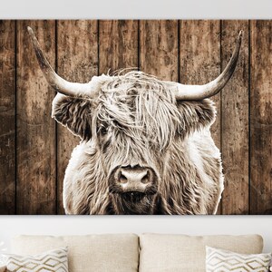 May include: A close-up of a highland cow with long, shaggy fur, looking directly at the camera. The cow is in front of a rustic wooden background.