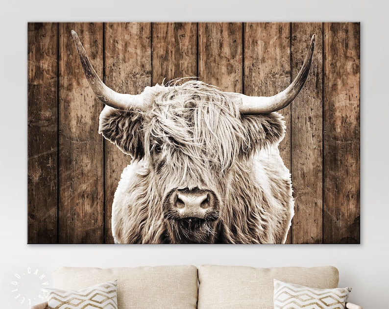 May include: A close-up of a highland cow with long, shaggy fur, looking directly at the camera. The cow is in front of a rustic wooden background.