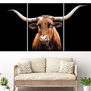 May include: A close-up portrait of a brown Texas Longhorn bull with long, curved horns against a black background.