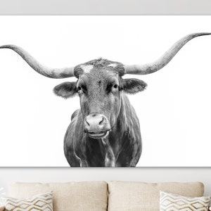 Texas Longhorn Canvas Print // Close-up Portrait of Texas Longhorn Cow // Black and White Wall Decor