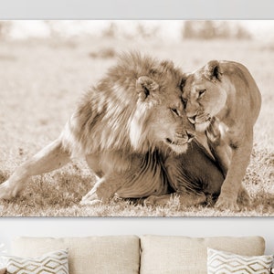 Leones enamorados Sepia Canvas Print // Lion Couple Sepia Wall Art