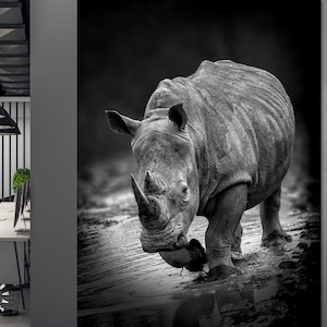 Rhinoceros Leinwanddruck // Rhinoceros Black And White Portrait // Wandbild auf Leinwand