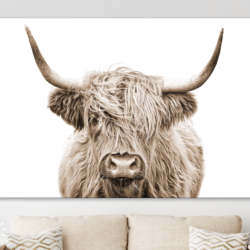 Highland Cow Portrait Art - Etsy