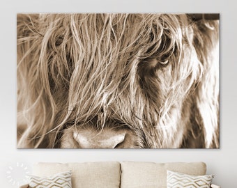 Hairy Cow Portrait Sepia Canvas Print // Highland Cattle Portrait Wall Art // Highland Cow Sepia Canvas Wall Decor // Scottish Breed of Cow