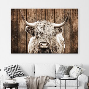 May include: A black and white photograph of a Highland cow with long, shaggy hair. The cow is standing in front of a wooden fence.