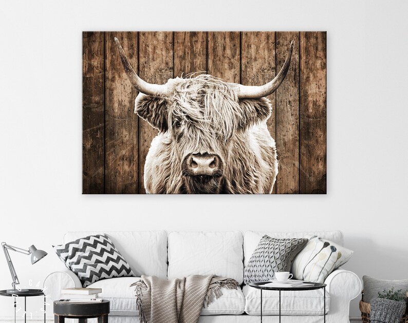 May include: A black and white photograph of a Highland cow with long, shaggy hair. The cow is standing in front of a wooden fence.