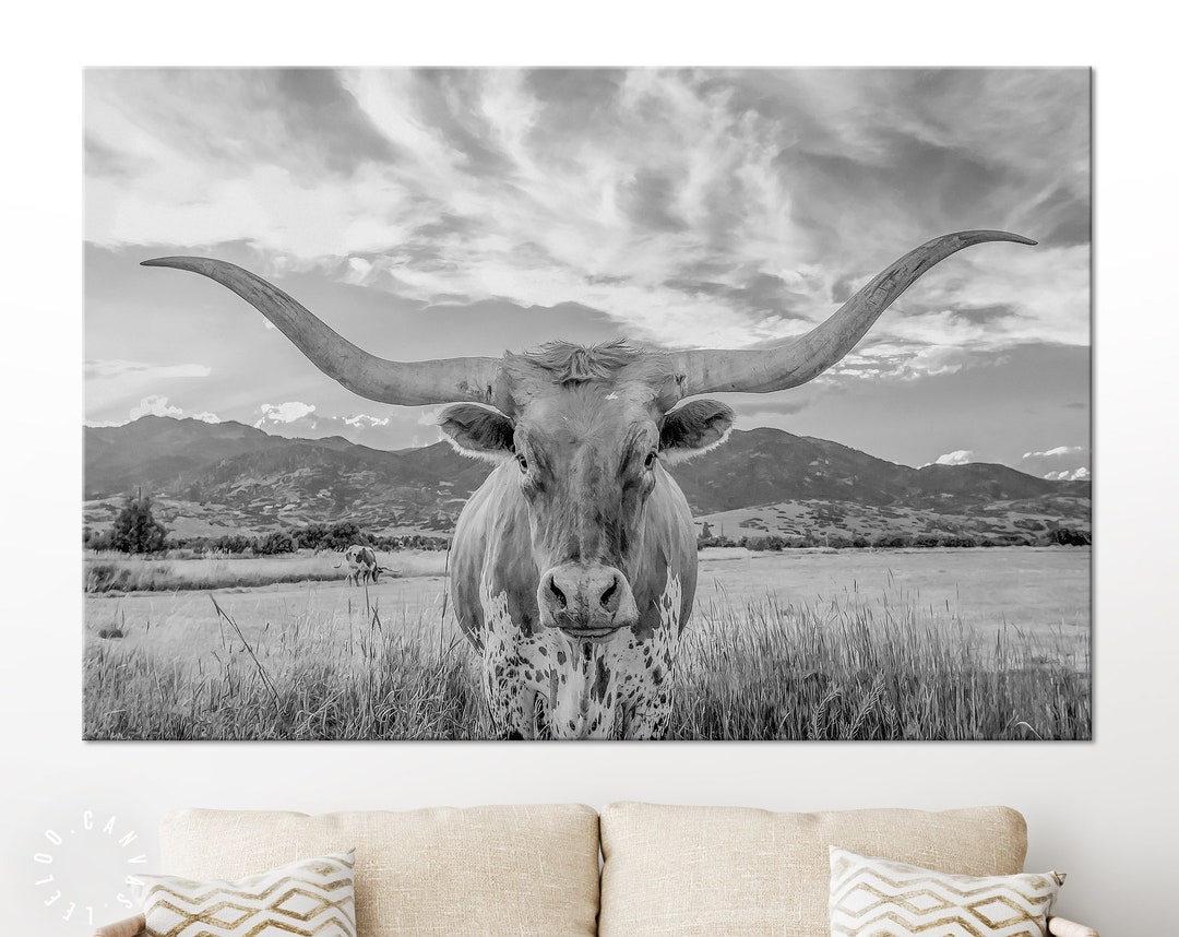 Longhorn Black and White Canvas Print // Closeup Portrait of Etsy