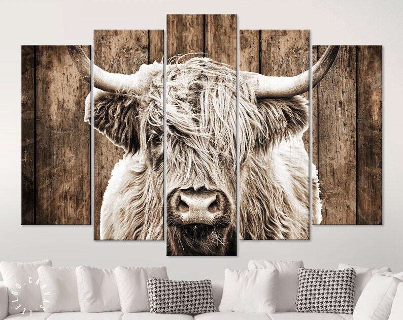 May include: A close-up of a Highland cow's face with long, shaggy hair. The cow is looking directly at the camera. The background is a rustic wooden wall.