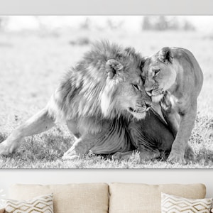 Impresión de lienzo de leones enamorados // Arte de pared de pareja de leones