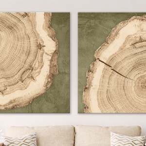 May include: Two square canvas prints featuring a wood grain pattern. The prints are a light brown colour with a green background. The wood grain pattern is a close-up of a tree trunk.