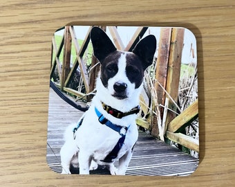 Personalised Pet Photo Coaster, dog, cat, gift, pet lover, custom, puppy