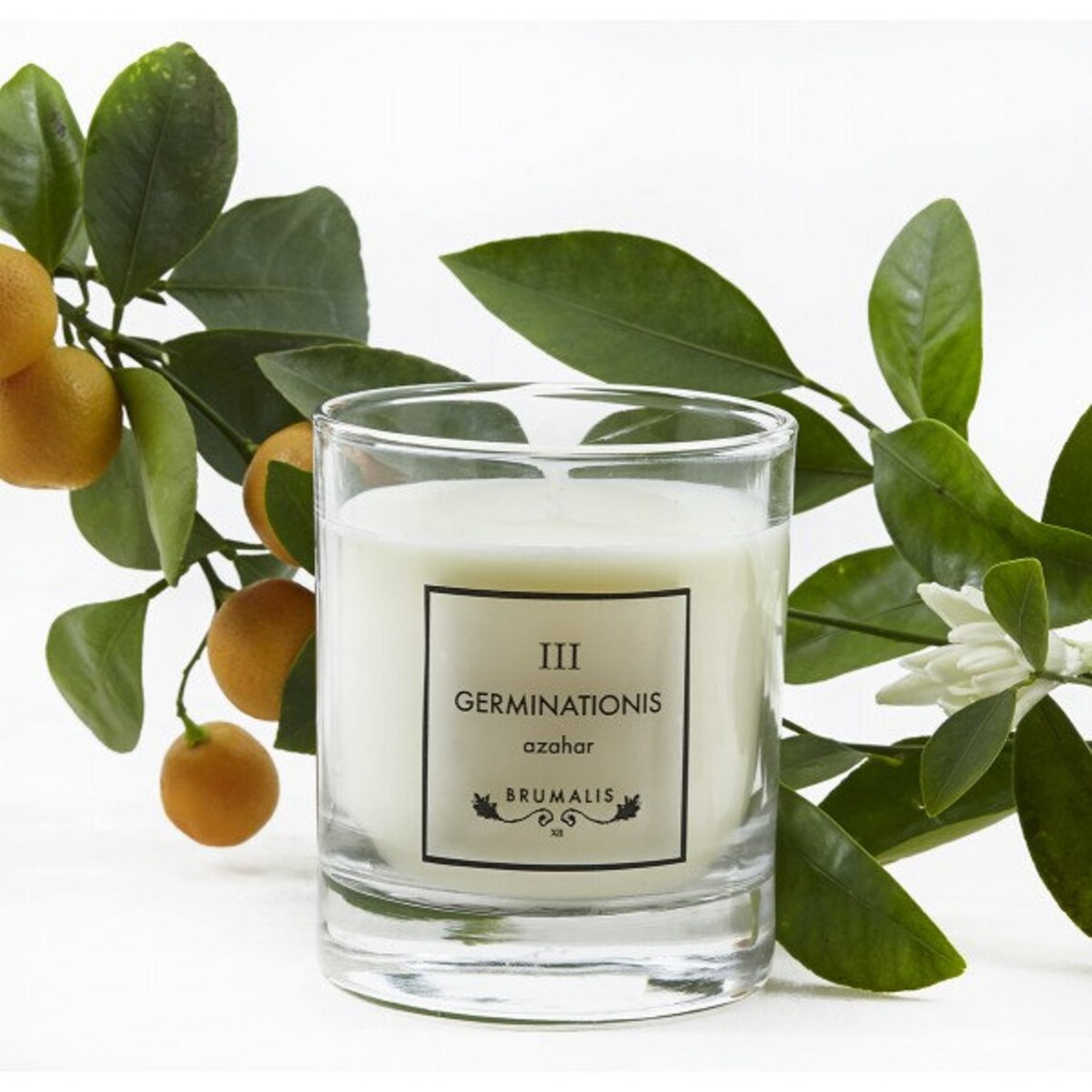 Scented candle Orange blossom Etsy