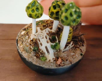 Fungi with Animal Skull -Miniature Verdant Morels – Dollhouse Scale 1:12