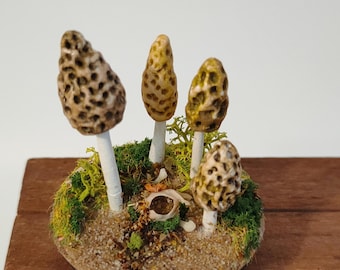 Casa A Forma Di Fungo In Legno Fatta A Mano / Sostenibile Ed Ecologica / Realizzata Da Bumbu Toys - Italia - Foto 9