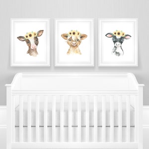 May include: Three watercolor paintings of calves wearing sunflower crowns. The calves are brown and white, brown, and black and white. The paintings are framed in white frames and are hanging on a gray wall above a white crib.