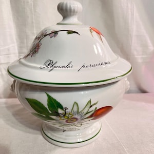 Vintage Lovely French Apilco Elysian Garden Series Porcelain Soup Tureen and Lid