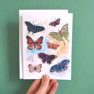 C A R T E S illustrated with butterflies, insects and herbs