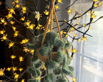 Enredaderas colgantes peludas / Peluche amigurumi / Enredaderas tejidas a crochet / Planta colgante de peluche tejida a crochet / Ideas para regalos / Plantas tejidas a crochet / HECHO A PEDIDO