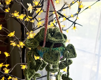 Enredaderas colgantes oscuras / Peluche amigurumi / Enredaderas tejidas a crochet / Planta colgante de peluche tejida a crochet / Ideas para regalos / Plantas tejidas a crochet / HECHO A PEDIDO