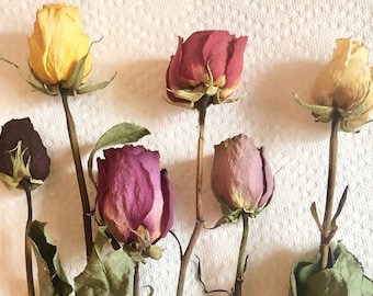 Assorted Dried Rose Stems, Dry Flowers for Gifts, Bouquets, and Craft Supplies, 3 Roses