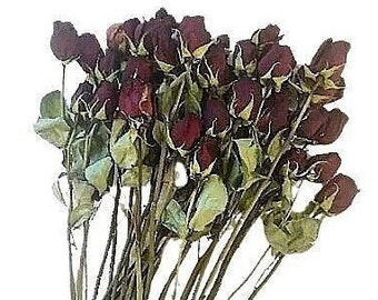 Red Rose Dried Flower Stems
