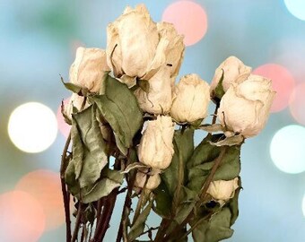 White Dried Rose Stems